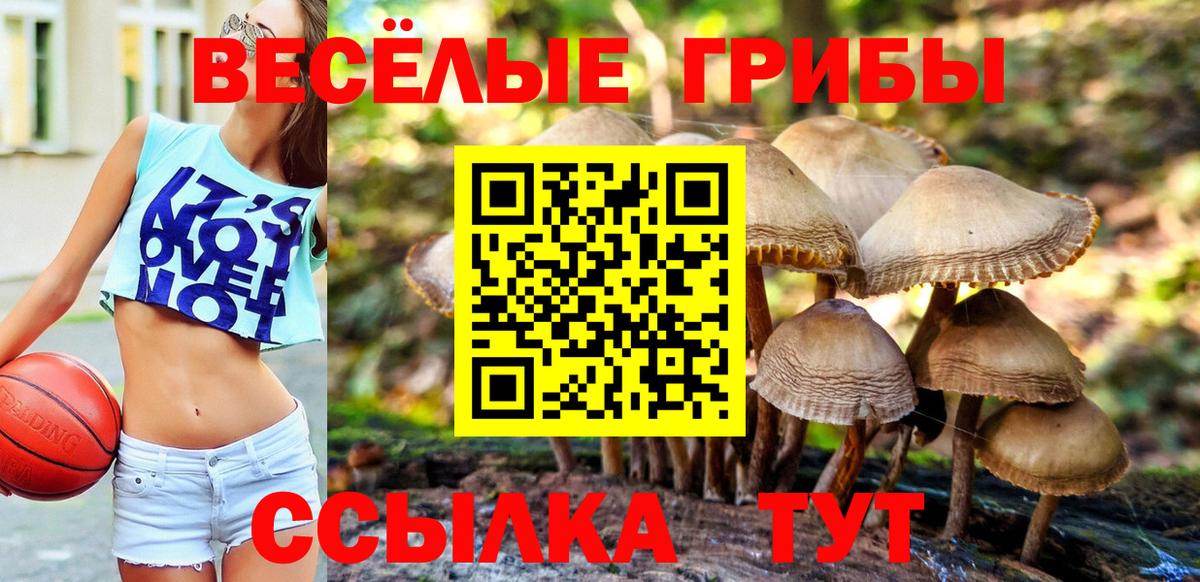 Анапа  Псилоцибиновые грибы Cubensis  Вход с VPN 