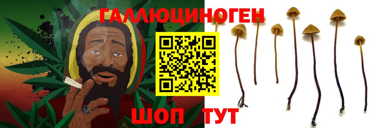 Псилоцибиновые грибы GOLDEN TEACHER Анапа